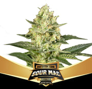 BSF Sticker Pack - SOUR MAC LIMITED EDITION (4)