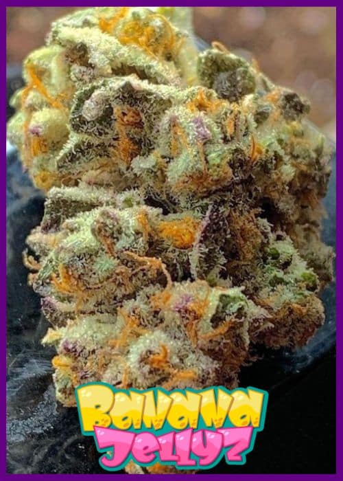 Zmoothiez Sticker Pack - BANANA JELLY'Z (6)