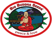 Big Buddha Seeds Sticker Pack - CHIESEL AUTO (5)