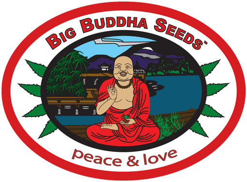 Big Buddha Seeds Sticker Pack - CHIESEL AUTO (5)