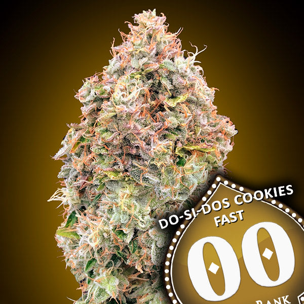00 Seeds Sticker Pack - DO-SI-DOS COOKIES FAST (3)