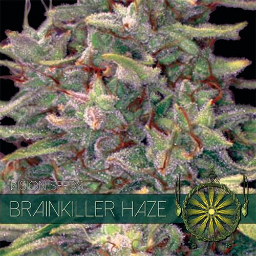 Vision Sticker Pack - BRAINKILLER HAZE (3)
