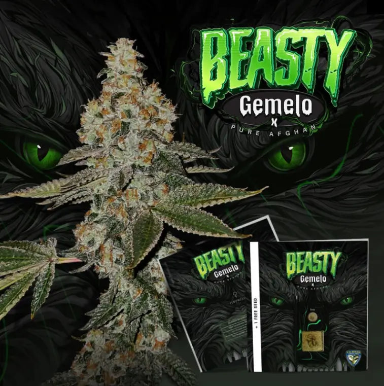 T.H. Seeds Sticker Pack - BEASTY (6)