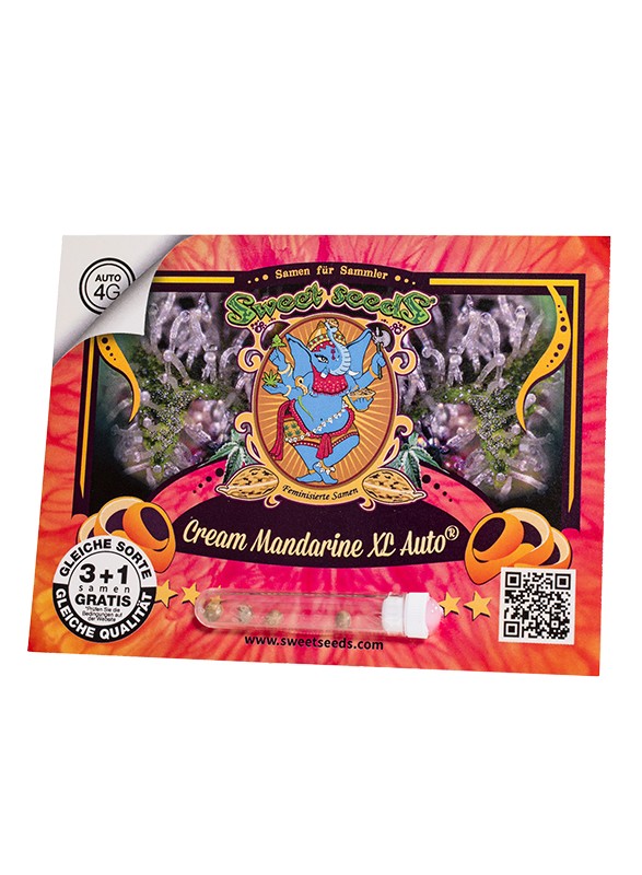 Sweet Sticker Pack - CREAM MANDARINE XL AUTO (3)