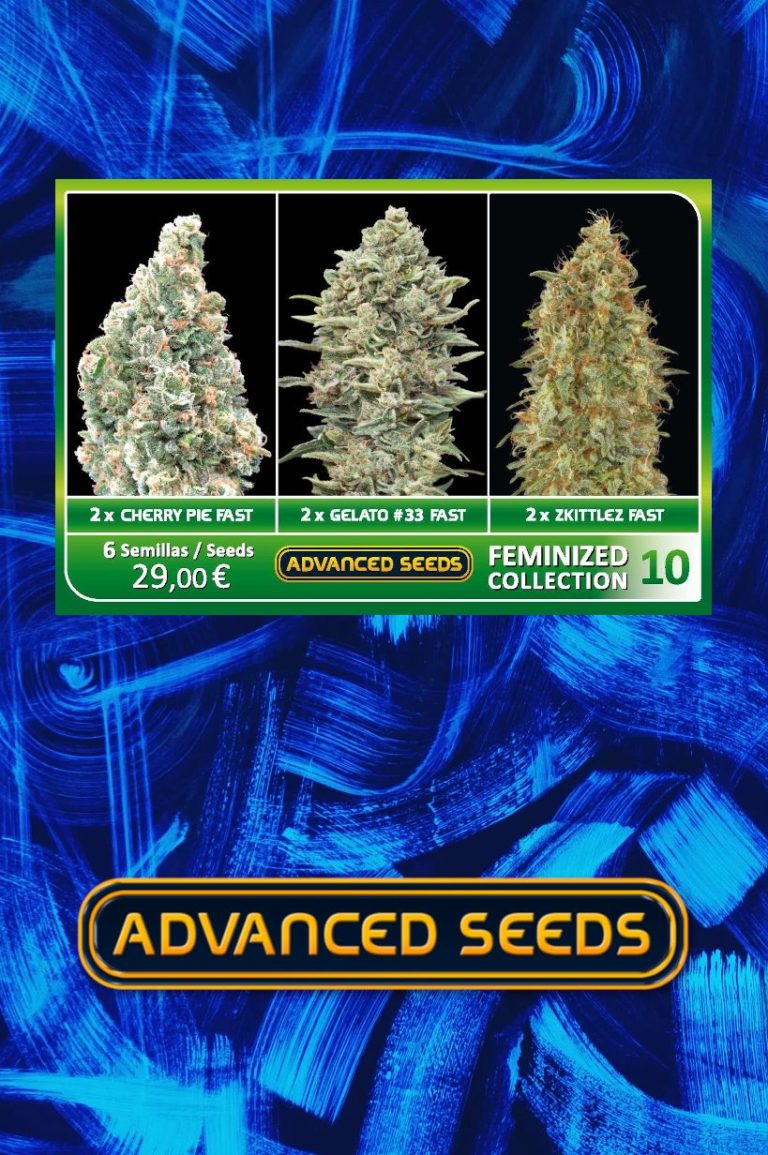 Advanced Sticker Pack - FEMINIZED COLLECTION #10