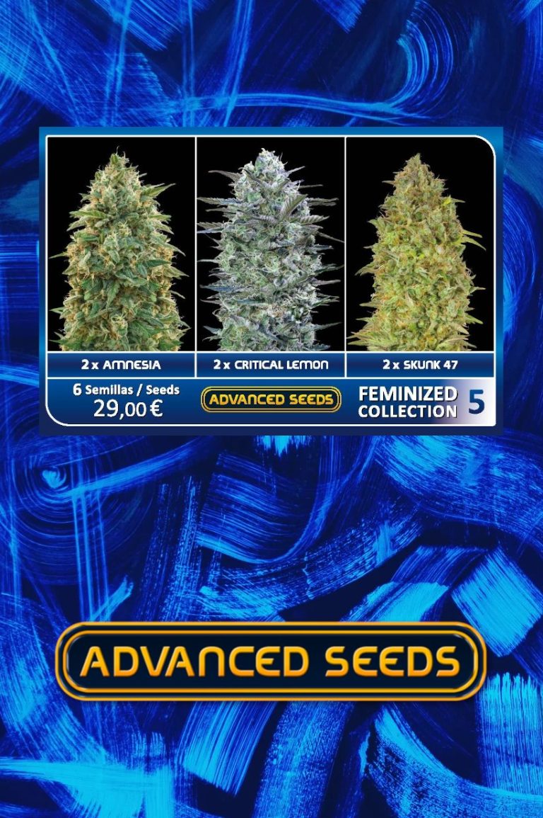 Advanced Sticker Pack - FEMINIZED COLLECTION #5