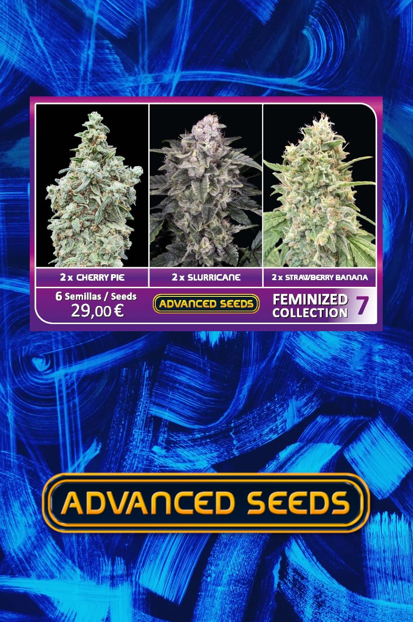 Advanced Sticker Pack - FEMINIZED COLLECTION #7