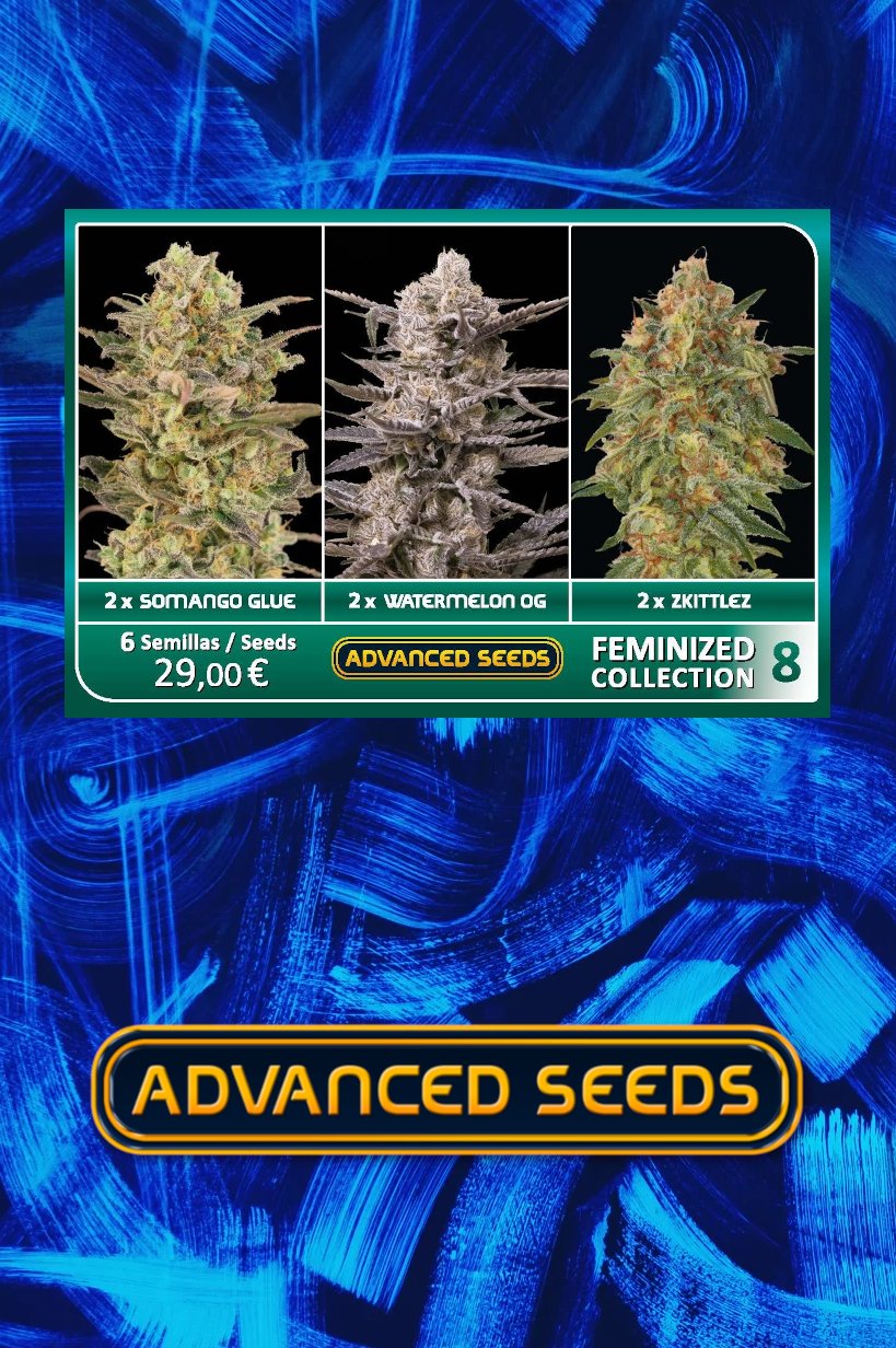 Advanced Sticker Pack - FEMINIZED COLLECTION #8