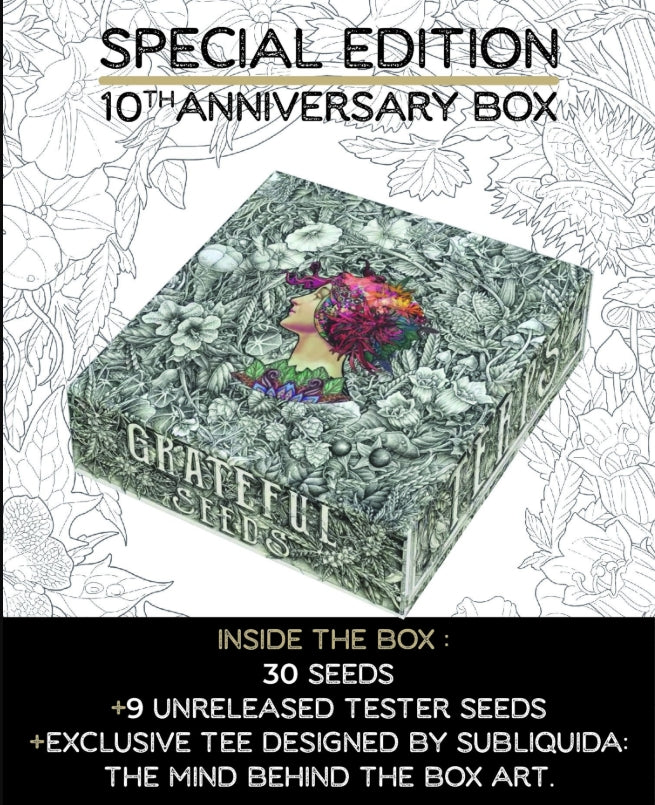 Grateful Sticker Pack - BOX SPECIAL EDITION 2025 “10 years on fire”