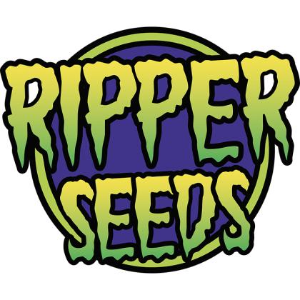 Ripper Sticker Pack - K-MINTZ (3)