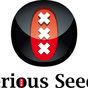 Serious Sticker Pack - BUBBLE GUM (6)