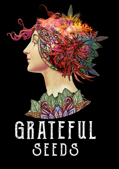 Grateful Sticker Pack - TROPICAL RAIN (3)