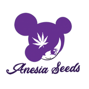 Anesia Sticker Pack - BANANA MAC (10)