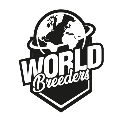 World Breeders Sticker Pack - CHERRY CRUSH (5)