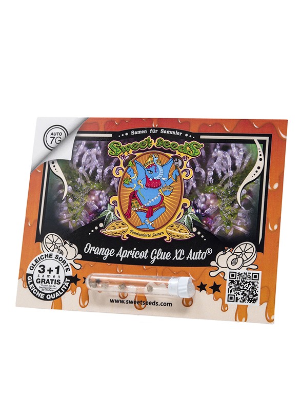 Sweet Sticker Pack - ORANGE APRICOT GLUE XL AUTO (3)