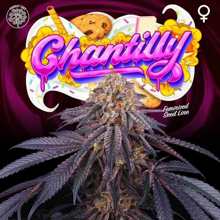Perfect Tree Sticker Pack - CHANTILLY (6)