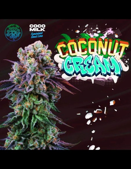 Perfect Tree Sticker Pack - COCONUT CREAM (6)