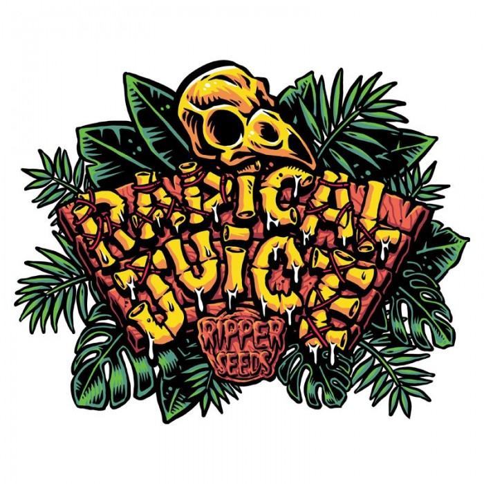 Ripper Sticker Pack - RADICAL JUICE 100% (3)