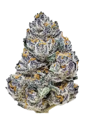 Fast Buds Company Sticker Pack - RAINBOW MELON (3)