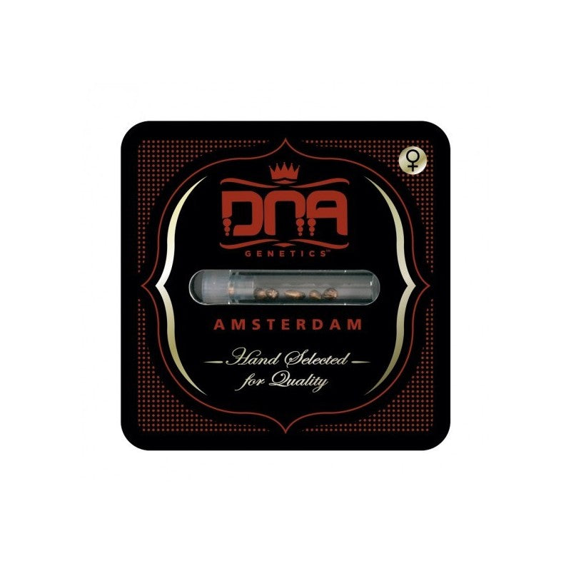 DNA Sticker Pack - SOUR SORBET (6)