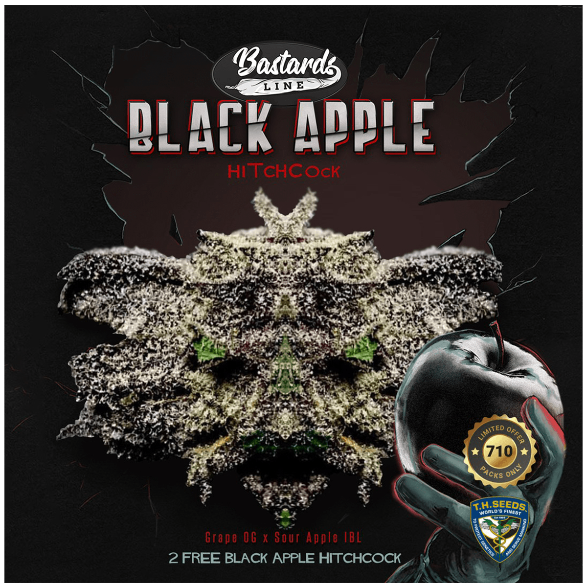 T.H. Seeds Sticker Pack - BLACK APPLE HITCHCOCK (6)