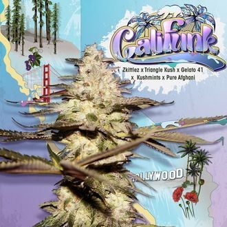 T.H. Seeds Sticker Pack - CALIFUNK (6)