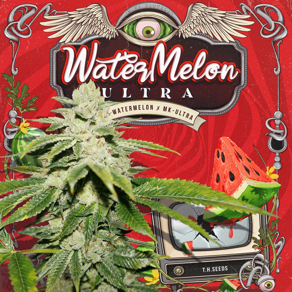 T.H. Seeds Sticker Pack - WATERMELON ULTRA (6)