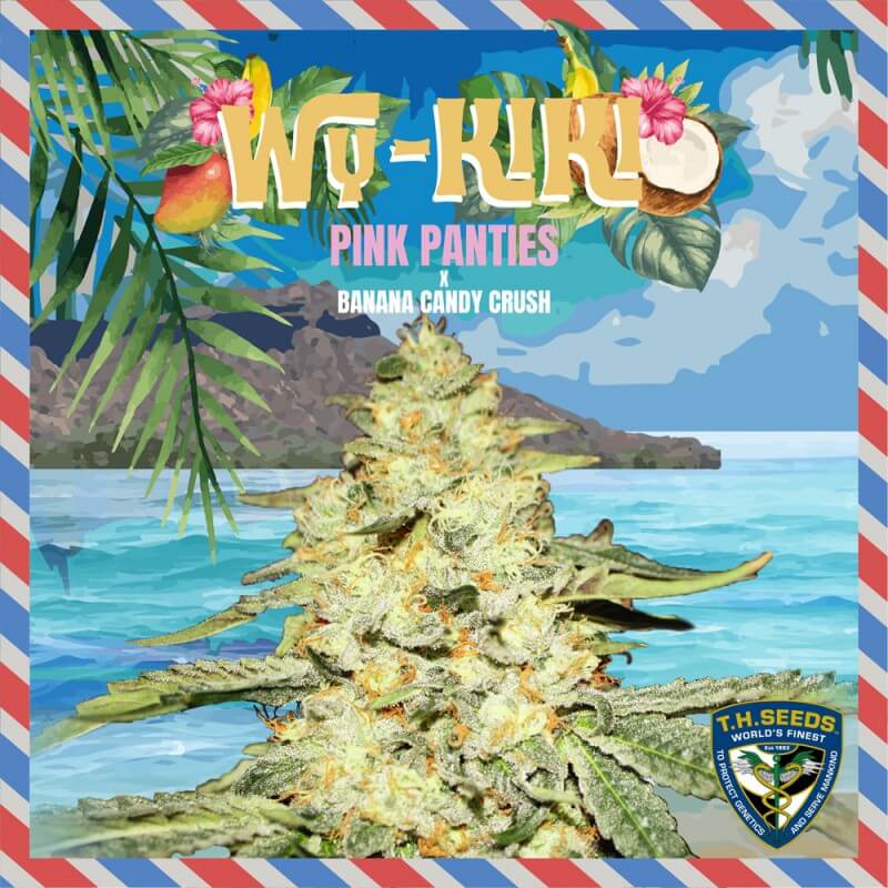 T.H. Seeds Sticker Pack - WY-KIKI (6)